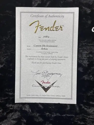 Custom Delux Strat 2