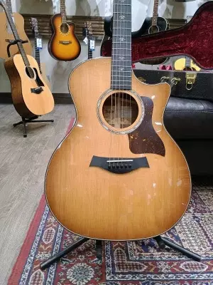 Taylor Guitars - 514CE IB 2