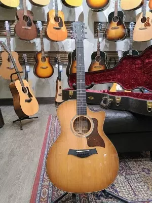 Taylor Guitars - 514CE IB 2