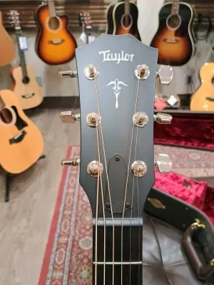 Taylor Guitars - 514CE IB 2