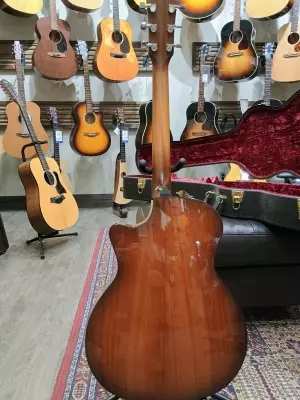 Taylor Guitars - 514CE IB 2