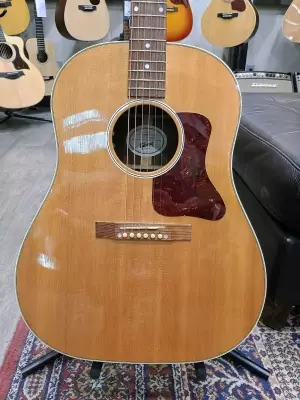 Gibson - AC29PANNH