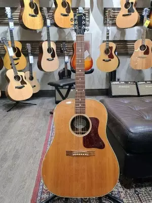 Gibson - AC29PANNH 2