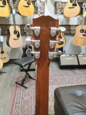 Gibson - AC29PANNH 5