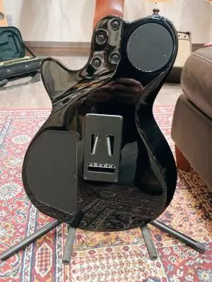 Godin Guitars - G24124 2