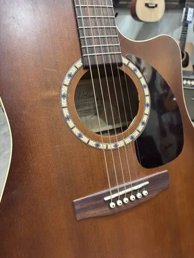 Art & Lutherie CW Cedar Antique Burst QI 2