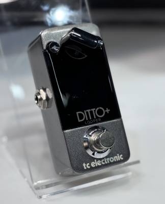 TC Electronic Ditto + Looper | Long & McQuade