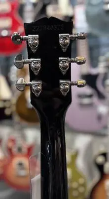 ES-339 Trans Ebony 2
