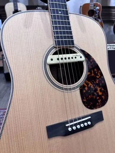 D40 Mahogany Legacy Series Dreadnaught Acoustic Guitar with Case 2