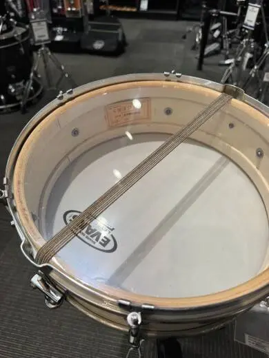 Rogers Classmate Vintage Snare Drum 2