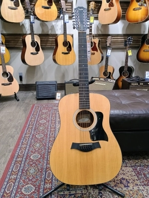 Taylor Guitars - 150E W 2