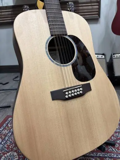 D-X2E Brazilian Dreadnought 12-String Acoustic/Electric Guitar 2