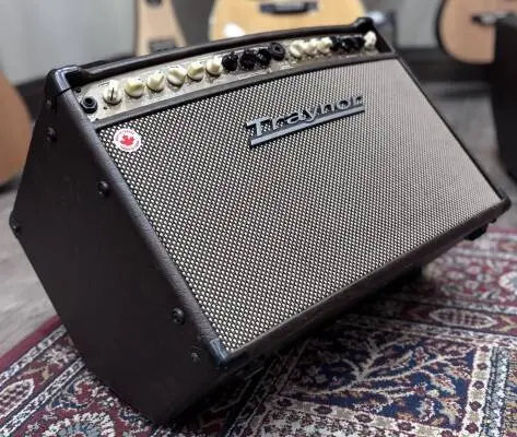 AM Standard 2-Channel Stereo Acoustic Guitar Amp - 150 Watts