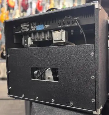 YGL2 2-Channel 30 Watt All-Tube Guitar Combo 2