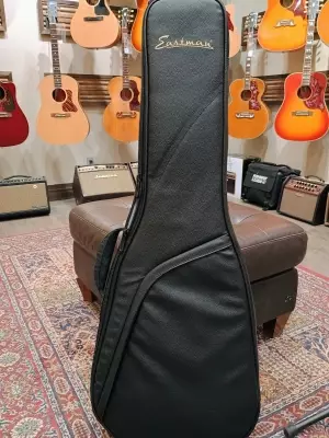 Eastman Guitars - JULIET-P90-VR 5