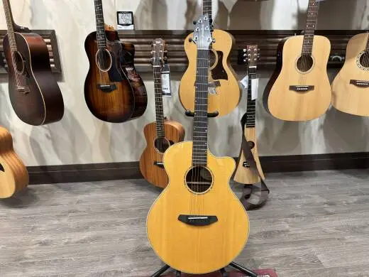 Breedlove Premium Auditorium