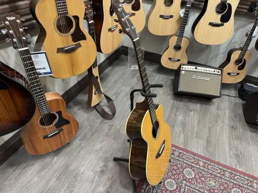 Breedlove Premium Auditorium 2