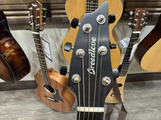 Breedlove Premium Auditorium 2