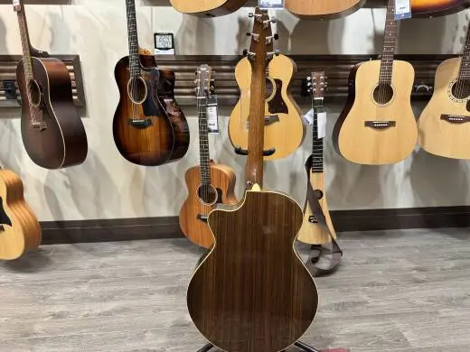 Breedlove Premium Auditorium 2