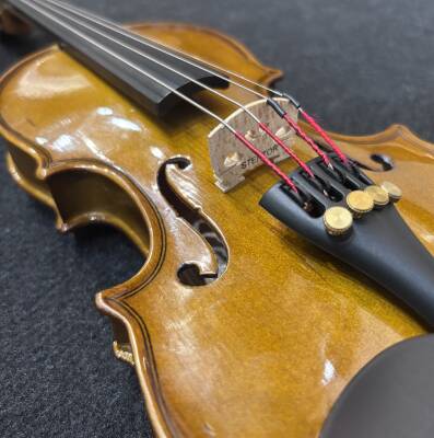 Stentor Student II Violin Outfit 4/4 Size | Long & McQuade