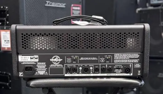 YBA100 Tube Bass Head - 100 Watts 2