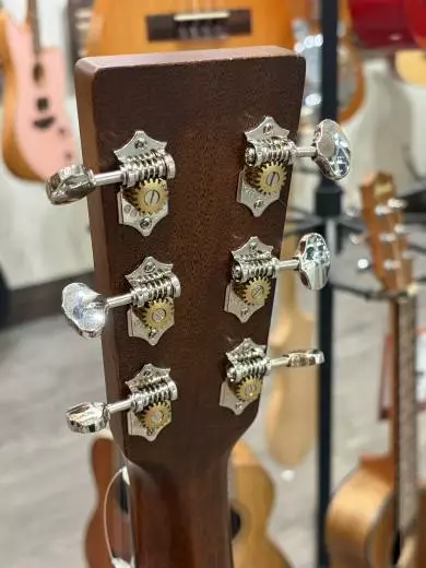 000-15M Solid Mahogany Acoustic Guitar 2