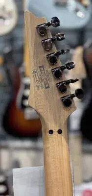 RG Electric Guitar - Black 2