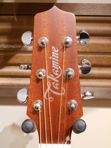 Takamine - P1DC 3