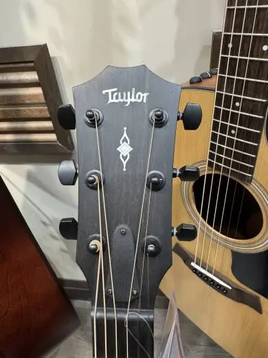 Taylor Guitars - 324CE V9 2