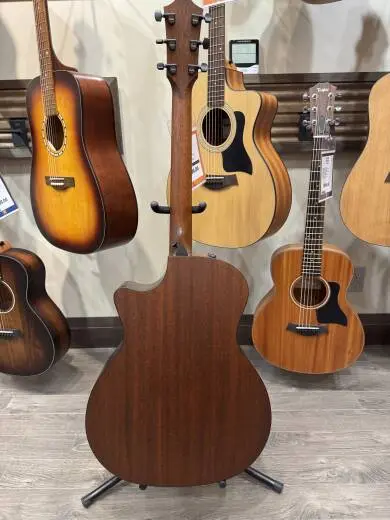 Taylor Guitars - 324CE V9 2