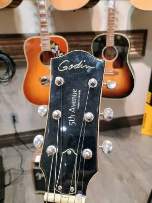Godin Guitars - G32341 2