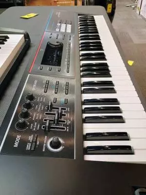 Store Special Product - Roland - JUNO-DS 61