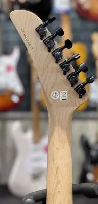 Striker Figured HSS w/Floyd Rose - Wild Ivy 2