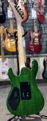 Striker Figured HSS w/Floyd Rose - Wild Ivy 2