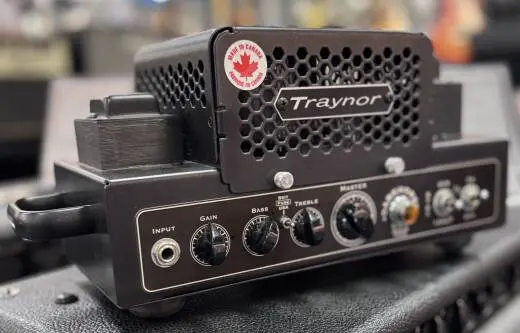 DarkHorse 15 Watt All-Tube Guitar Head