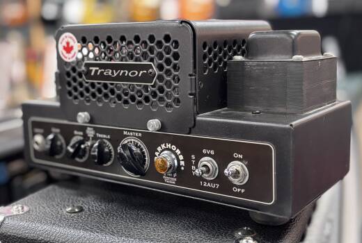 Traynor DarkHorse 15 Watt All-Tube Guitar Head