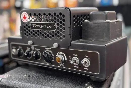 DarkHorse 15 Watt All-Tube Guitar Head 2