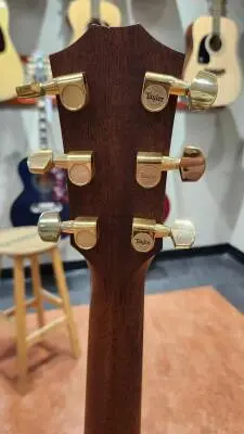 Taylor Guitars - 514CE 2