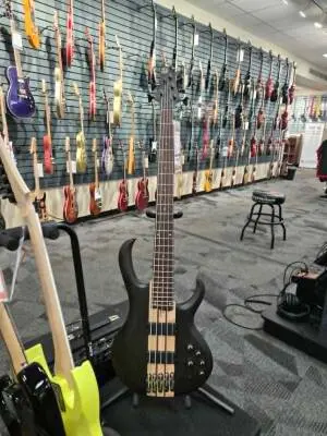 Ibanez - BTB605TGF