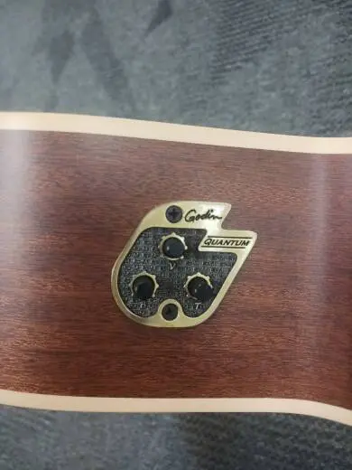 La Patrie Guitars - LP0340 2