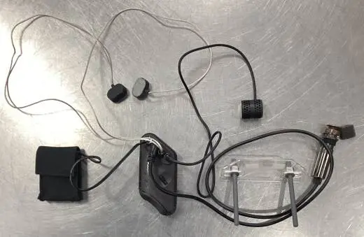 L.R Baggs - LR-HIFIDUET