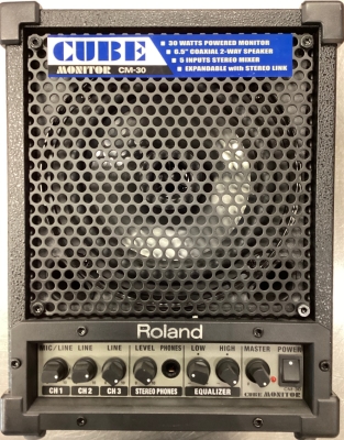早得！！Roland CM-30 Roland - CM-30 CUBE monitor - 30W 6.5'' Active Speaker