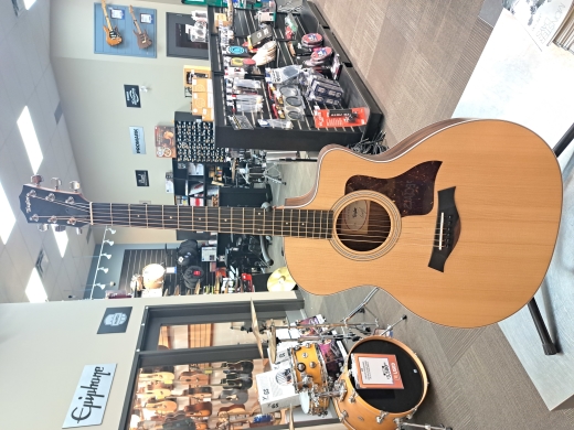 エントワ　Taylor 214ce RW Taylor 214ce RW（中古/送料無料）【楽器検索デジマート】