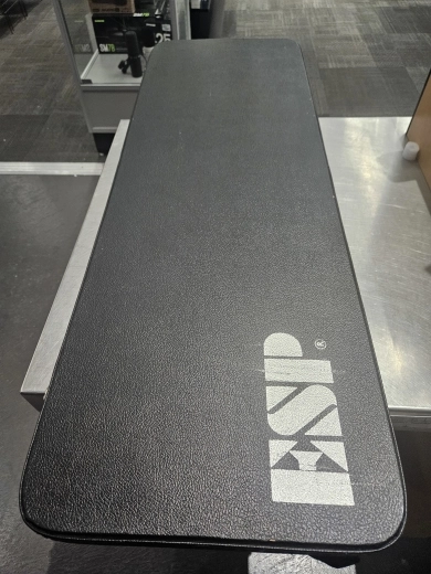 ESP Viper Standard Japan 2