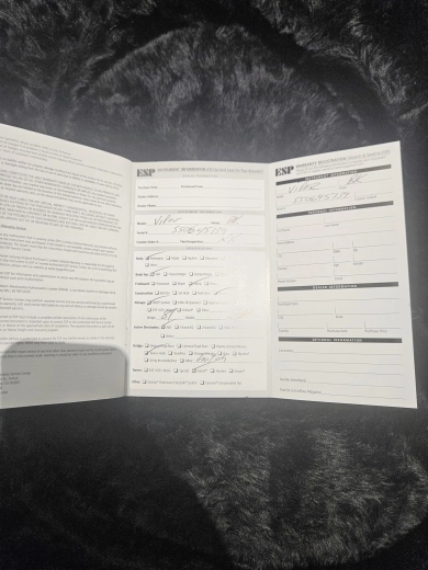 ESP Viper Standard Japan 2