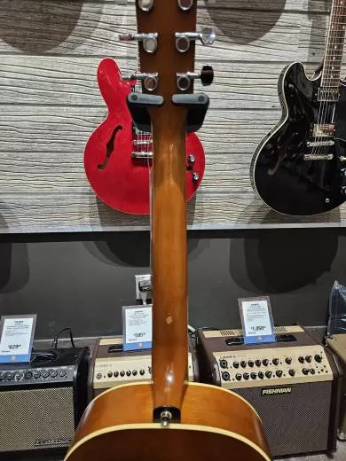 Norman Protege B18 CFTB 2