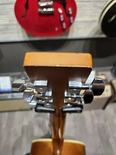 Norman Protege B18 CFTB 2