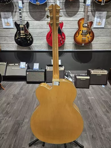 WASHBURN J6 NATURAL JAPAN 1984 4