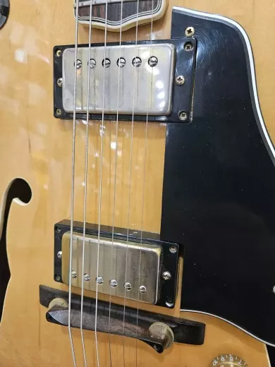 WASHBURN J6 NATURAL JAPAN 1984 7