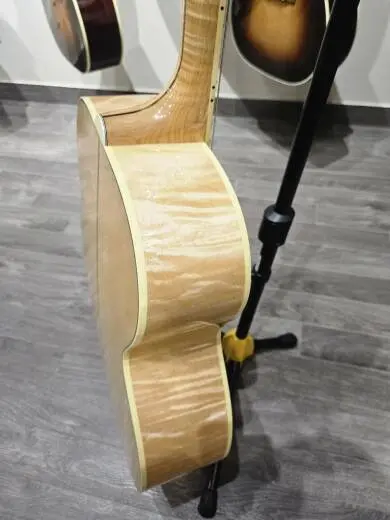 Gibson - ACO20ANGH 2
